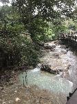 IMG_4612.JPG