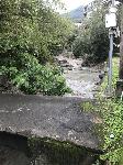 IMG_4615.JPG
