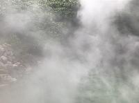 IMG_4669.JPG