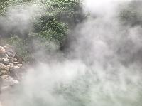 IMG_4670.JPG
