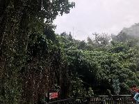 IMG_4674.JPG