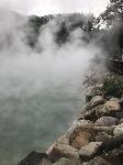 IMG_4680.JPG