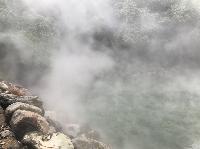 IMG_4684.JPG
