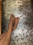 IMG_4718.JPG