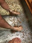IMG_4720.JPG