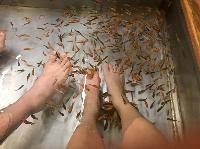 IMG_4732.JPG