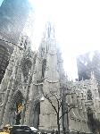 IMG_5579.JPG