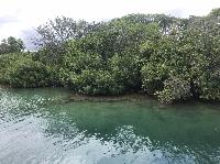 IMG_6762%20(2).JPG