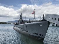 IMG_6931.JPG