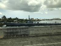 IMG_6945.JPG