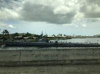 IMG_6950.JPG