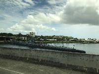 IMG_6961.JPG