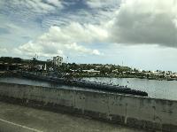 IMG_6962.JPG