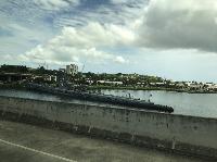 IMG_6964.JPG