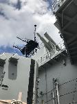 IMG_7401.JPG