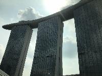 IMG_3741.JPG