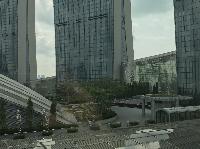 IMG_3754.JPG