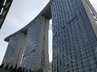 IMG_3765.JPG
