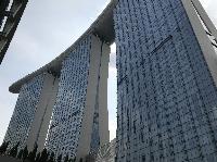 IMG_3767.JPG