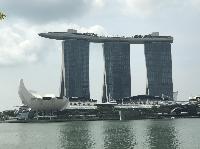 IMG_3942.JPG