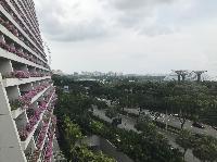 IMG_4726.JPG