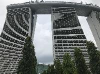 IMG_4754.JPG