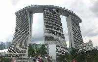IMG_4768.JPG
