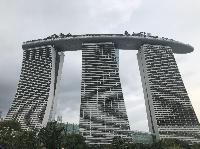 IMG_4795.JPG