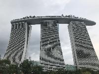 IMG_4796.JPG