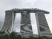 IMG_4798.JPG