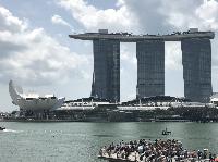 IMG_5146.JPG