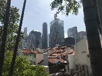 IMG_3030.JPG