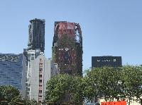 IMG_3076.JPG