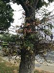 IMG_3219.JPG