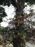 IMG_3221.JPG
