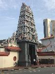 IMG_3242.JPG