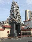 IMG_3243.JPG