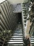 IMG_3275.JPG