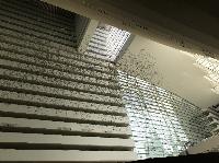 IMG_3285.JPG