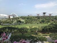 IMG_3689.JPG