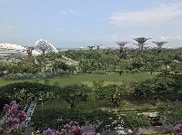 IMG_3692.JPG