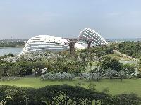 IMG_3699.JPG