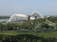 IMG_3700.JPG