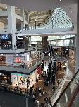 IMG_3710.JPG