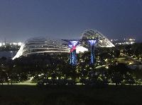 IMG_3719.JPG