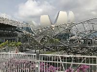 IMG_3786.JPG