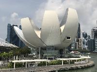IMG_3800.JPG
