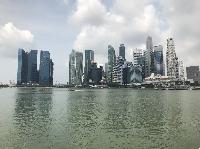 IMG_3845.JPG