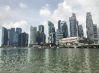 IMG_3910.JPG
