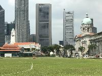 IMG_3975.JPG